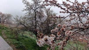 Nisan’da Afyonkarahisar’a kar sürprizi!..