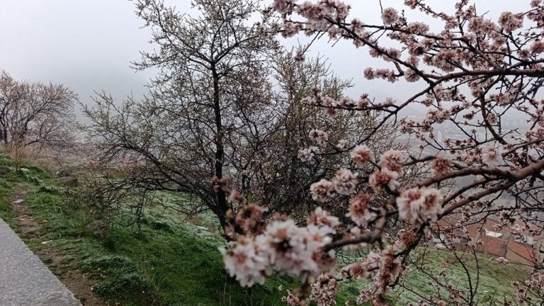 Nisan’da Afyonkarahisar’a kar sürprizi!..