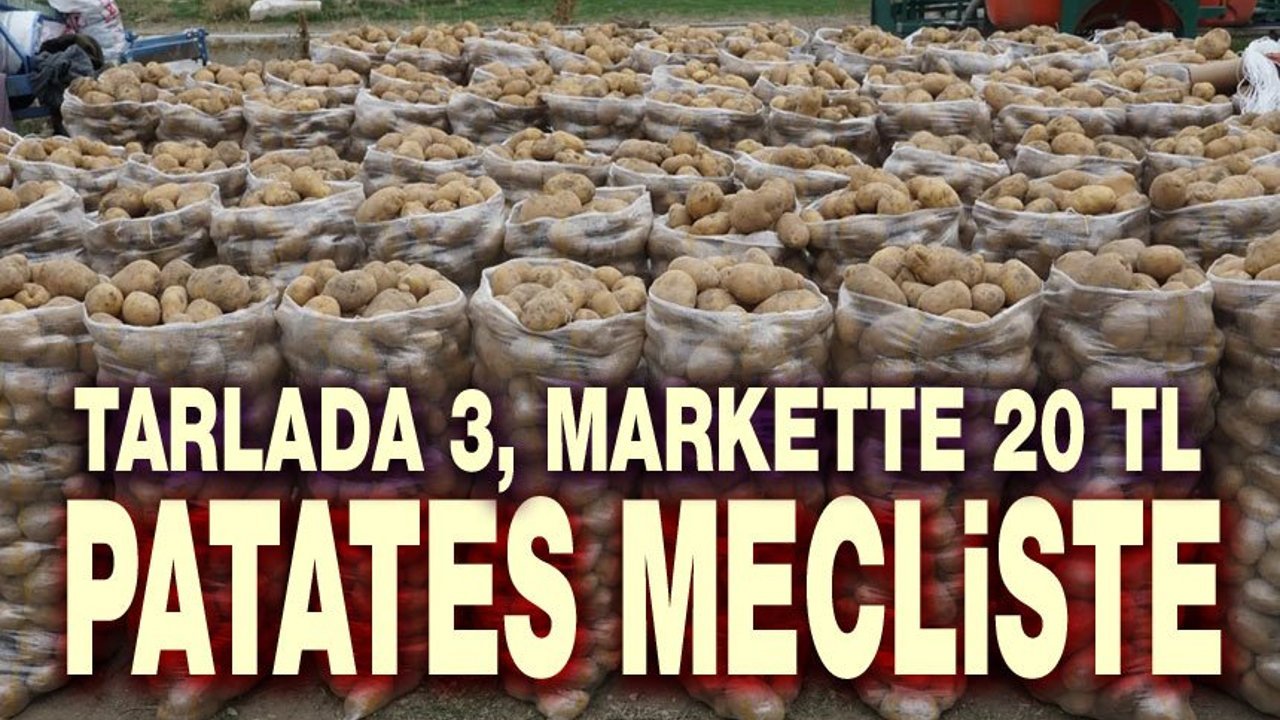Patates olayı TBMM gündeminde!..