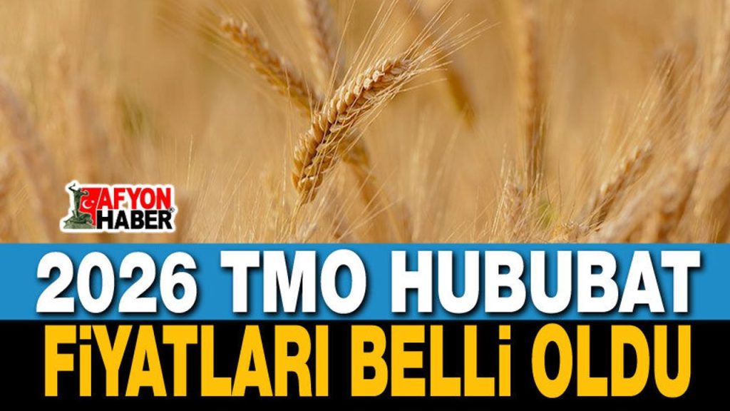 2026 TMO Hububat Fiyatları Belli Oldu