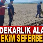 Afyon’un Tarımsal Çeşitliliği Artıyor